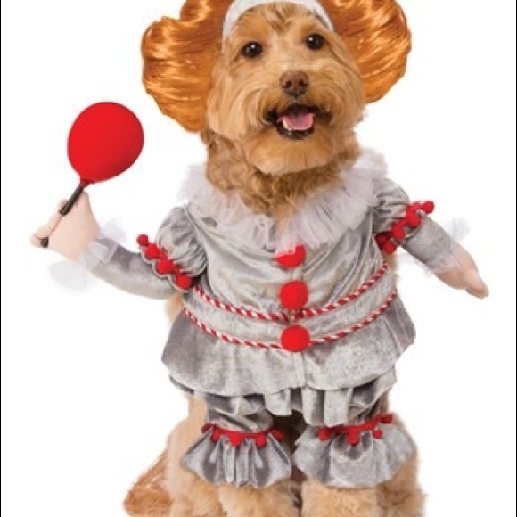 Dog It Pennywise Dog Clown Costume With Arms And Lollypop Poshmark